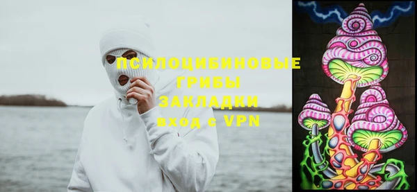 прущие грибы Абинск