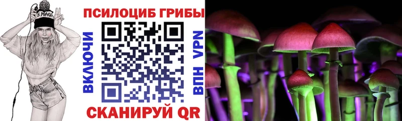 Псилоцибиновые грибы Cubensis  купить   Чишмы 