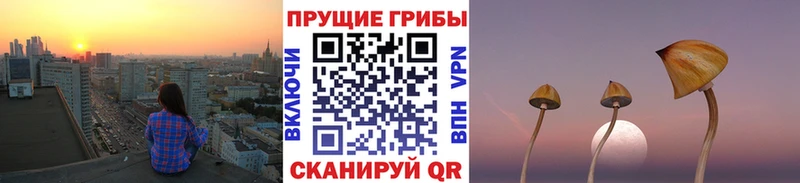 Галлюциногенные грибы MAGIC MUSHROOMS Чишмы